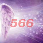 566 Angel Number – Meaning